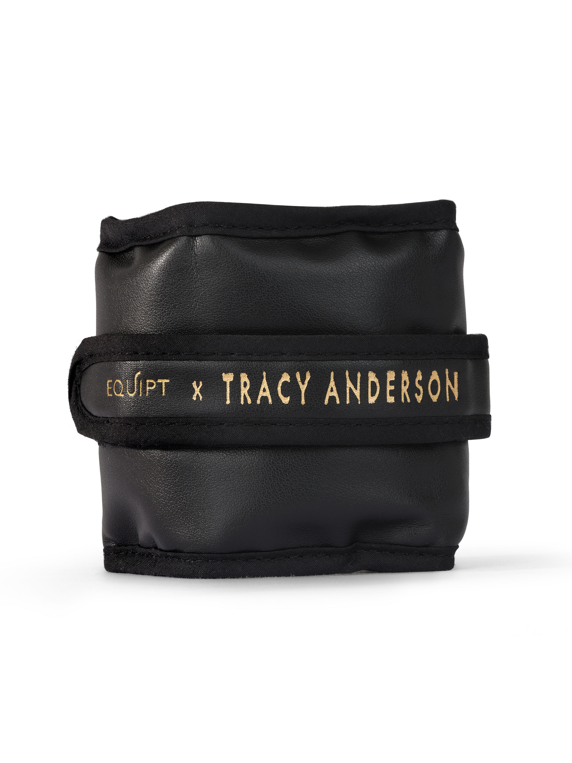 TracyAndersonANKLEWEIGHTS-Ghost-Image (6)